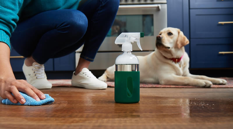 Are Cleaning Products Safe for Children and Pets
