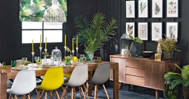 Budget-Friendly Decoration Ideas for Kitchen and Dining Room