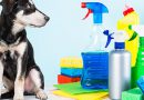 Choosing the Right Cleaning Supplies for Pet Care