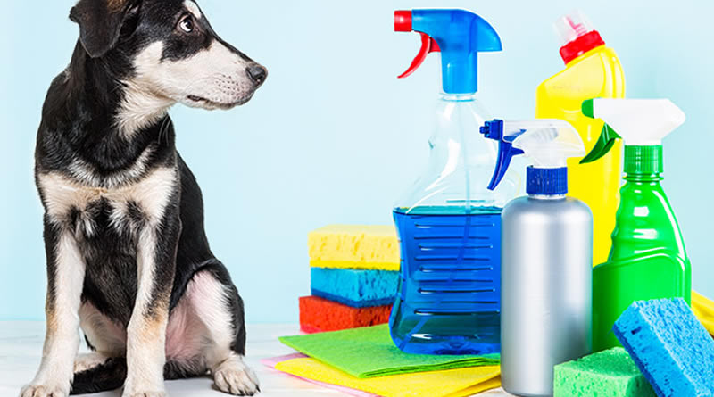 Choosing the Right Cleaning Supplies for Pet Care