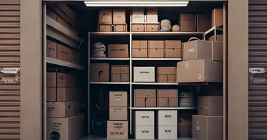 Effective Sorting Systems for Organizing and Storing Belongings