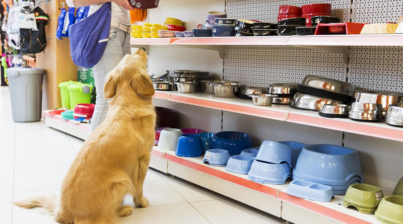 The Best Places to Buy Pet Supplies