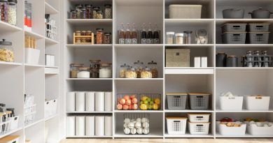 Where to Seek Professional Help for Storage and Organization Needs