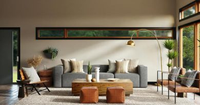 Which furniture and accessories should I choose for home decoration